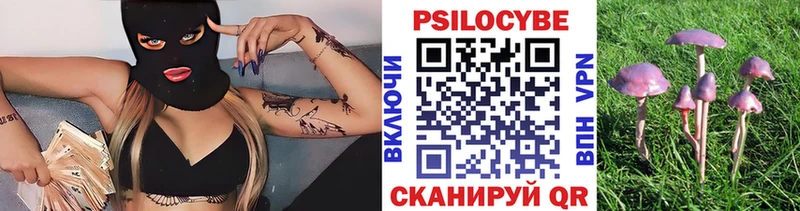 купить закладку  кракен ONION  Псилоцибиновые грибы Cubensis  Тула 